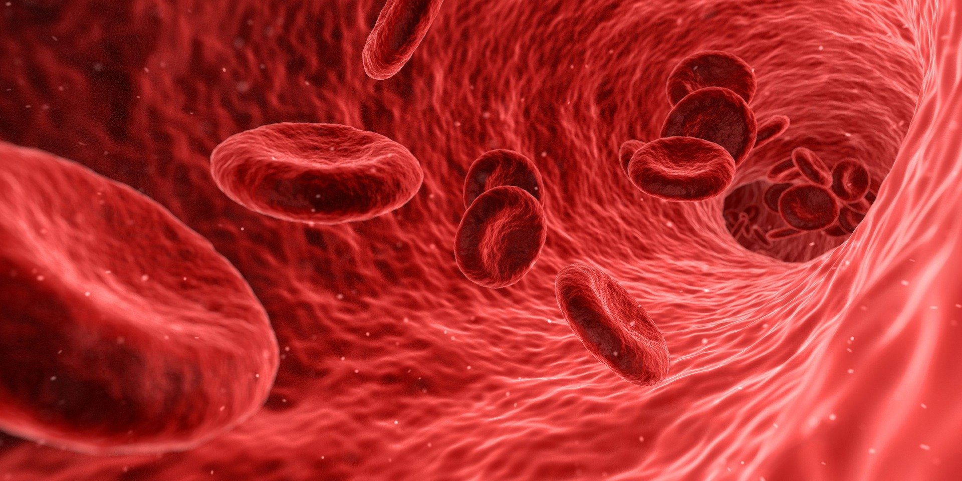 Hemoglobina Glicada - Testes Rápidos