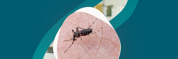 Brasil registra explosão de casos de dengue